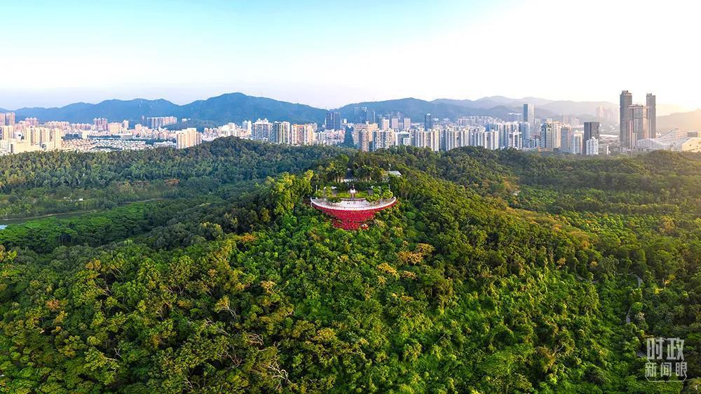 △深圳市莲花山公园。（图/视觉中国）